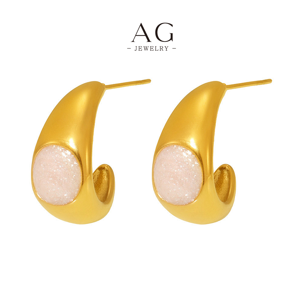 AG Stainless Steel Viral TikTok Earrings Must Have Jewelry Small MOQ AGF1314